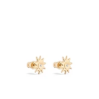 DIOR AND LEWIS HAMILTON earrings