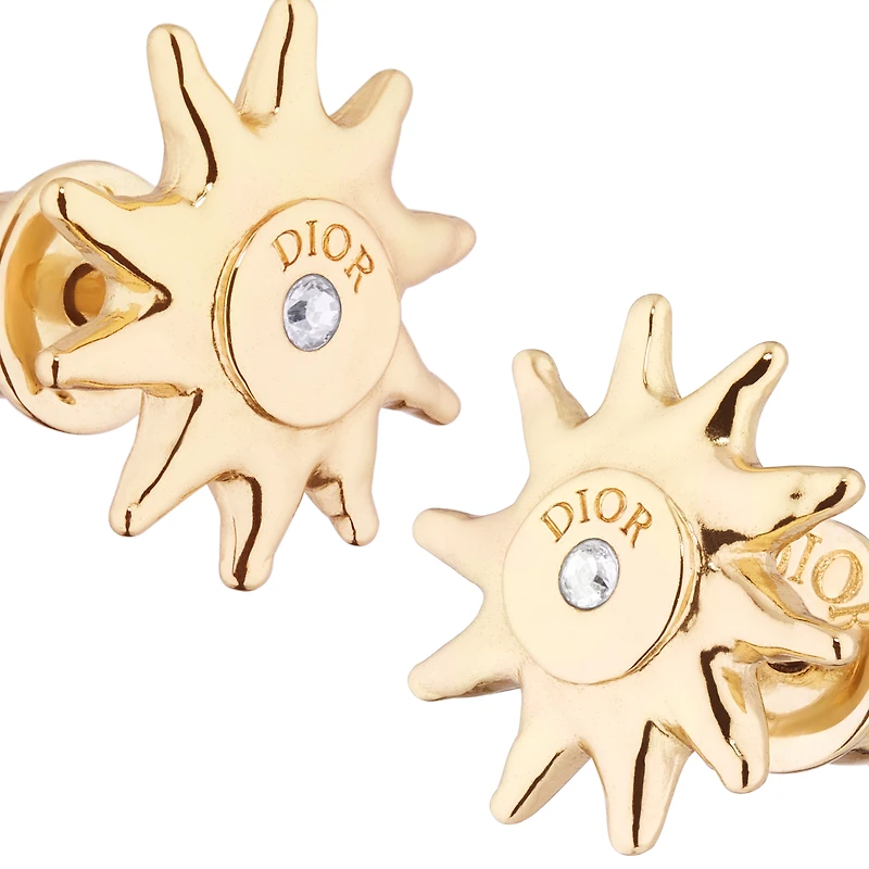 DIOR AND LEWIS HAMILTON earrings