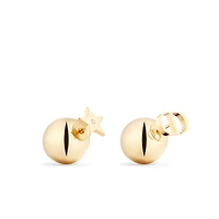 Dior Tribales Earrings
