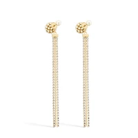 Dior Tribales Earrings