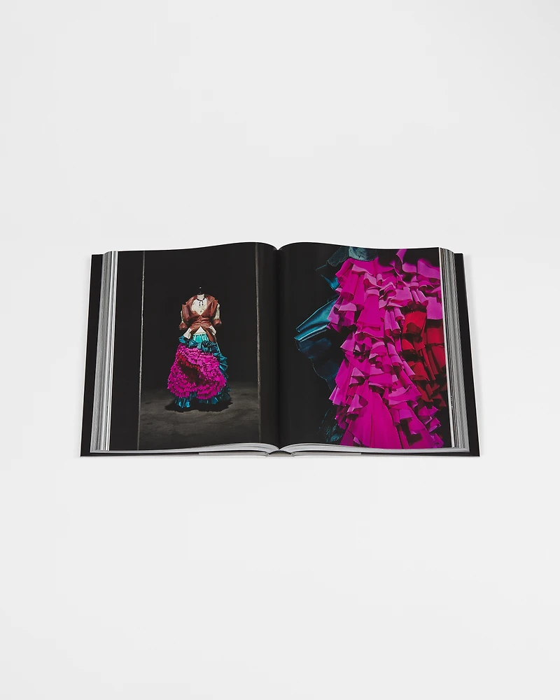 Book: Dior by John Galliano