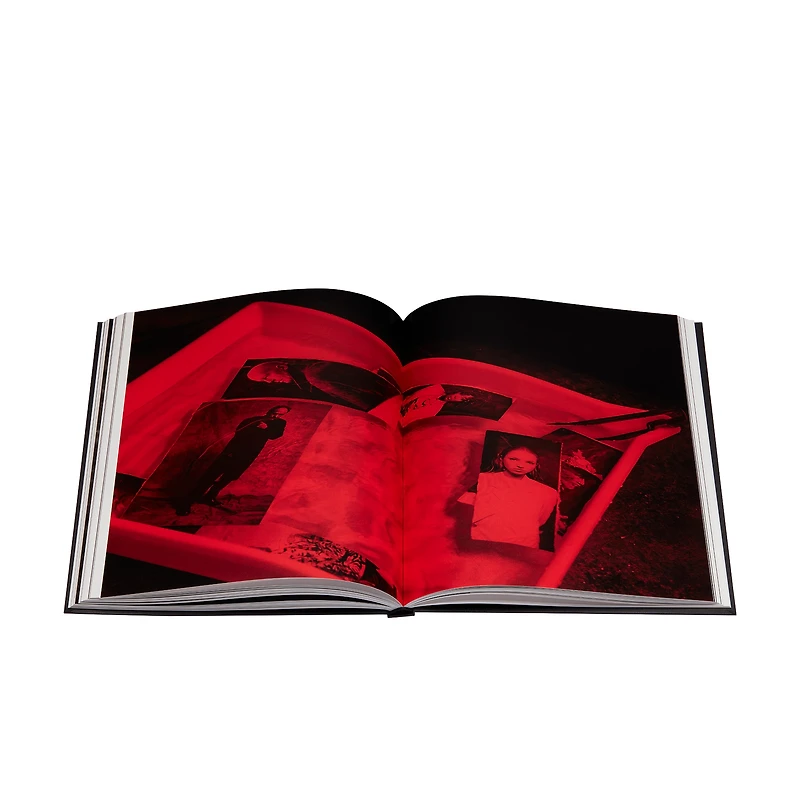Book: The Dior Sessions