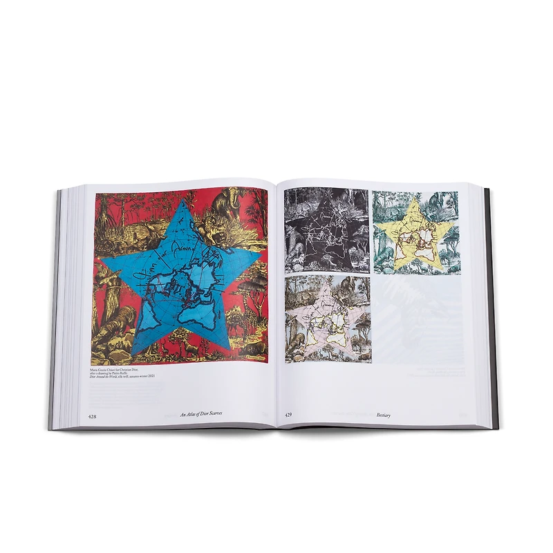 Book: Dior Scarves. Fashion Stories