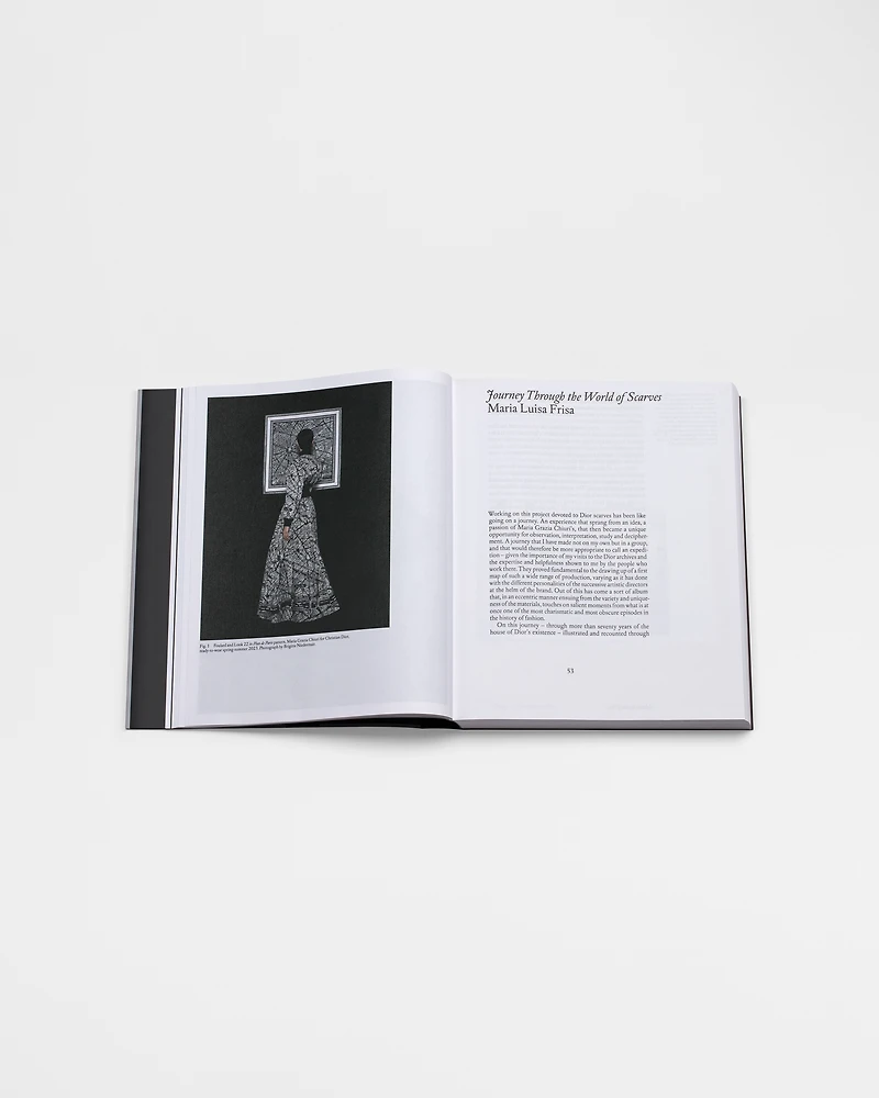 Book: Dior Scarves. Fashion Stories