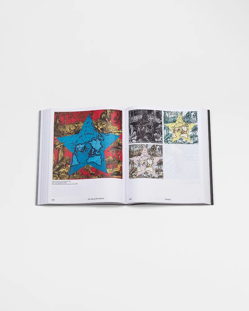 Book: Dior Scarves. Fashion Stories