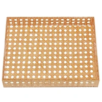 Large Tray