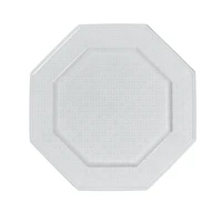 Dinner Plate