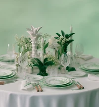 Dinner Plate