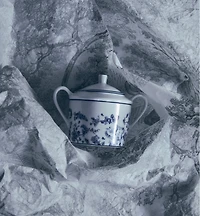Sugar Bowl