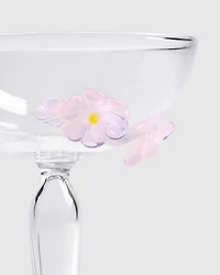 Champagne Coupe