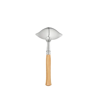 Ladle