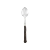 Tea and Coffee Spoon