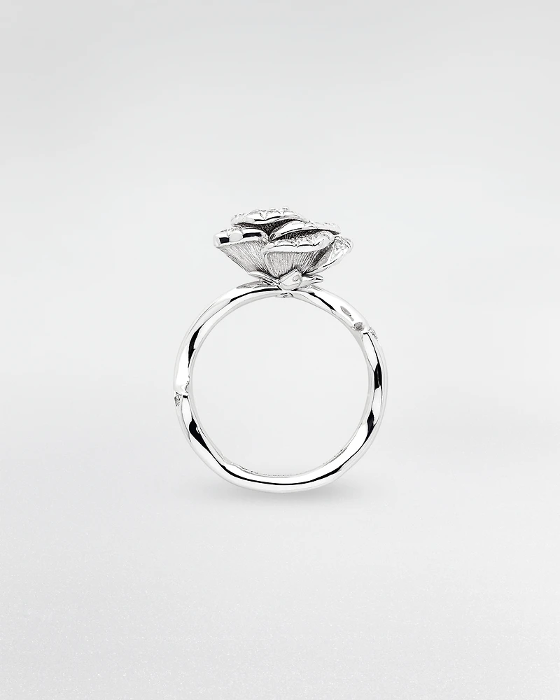 Rose Dior Bagatelle Ring