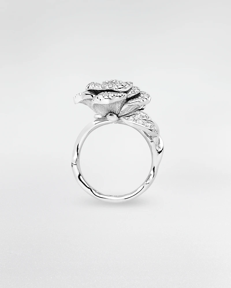 Rose Dior Bagatelle Ring