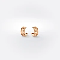 My Dior Earrings