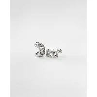 My Dior Earrings