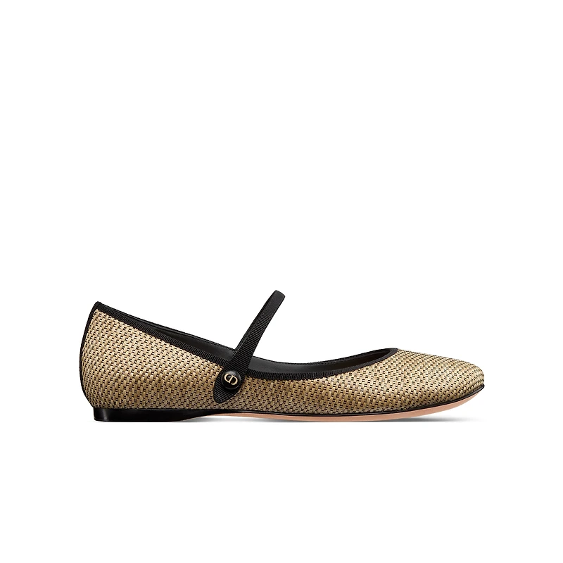 Dior Souvenir Lovely-D Ballet Flat