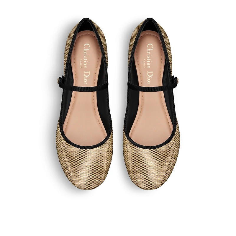 Dior Souvenir Lovely-D Ballet Flat