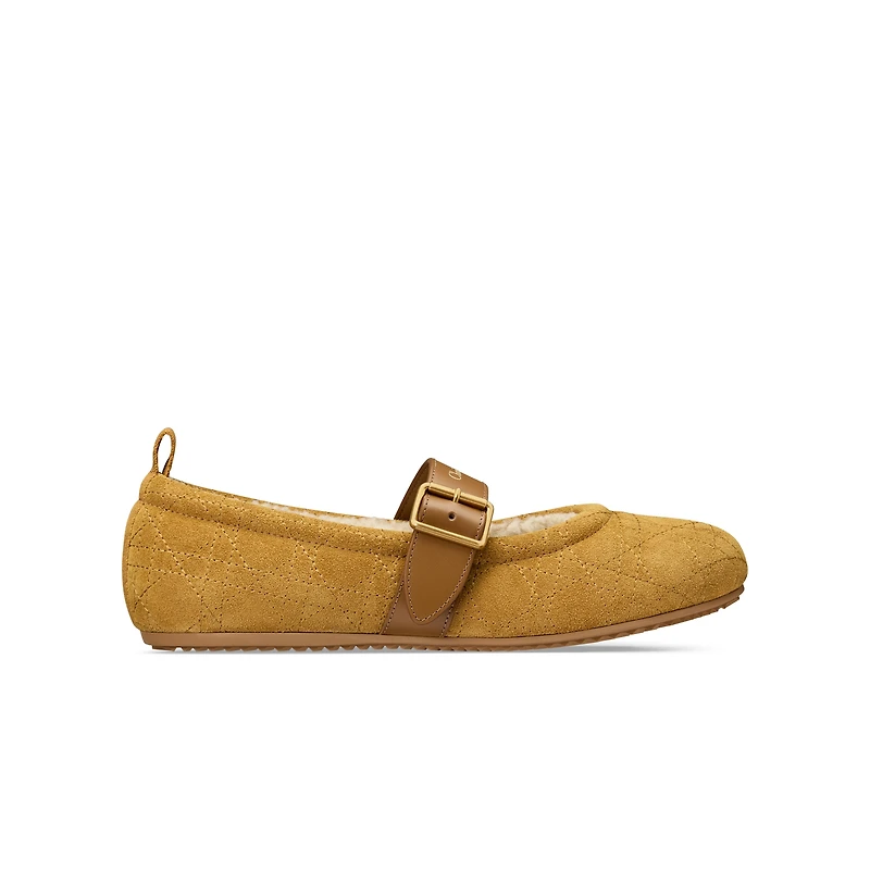DiorAlps Dior Frost Ballet Flat