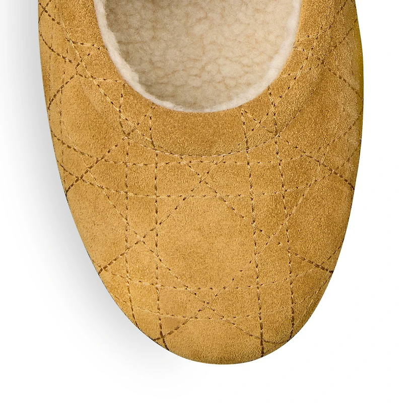 DiorAlps Dior Frost Ballet Flat