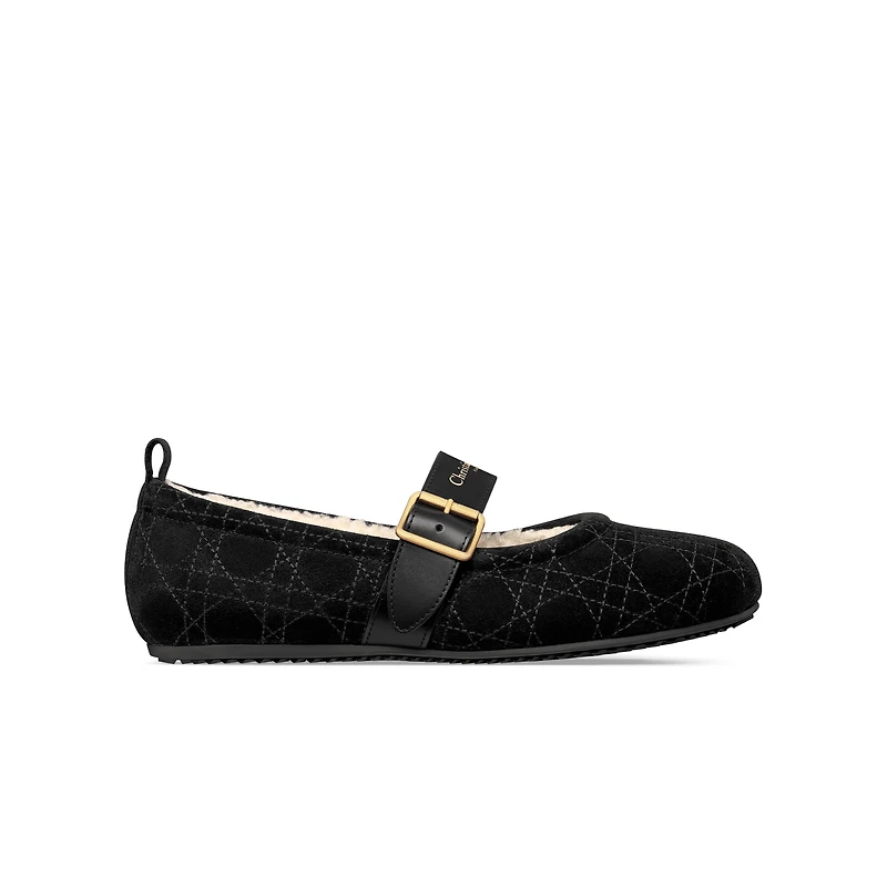 DiorAlps Dior Frost Ballet Flat