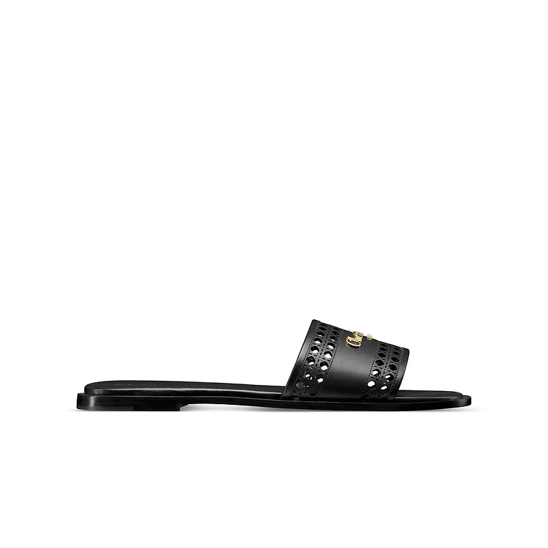 D-Lane Slide