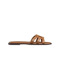 D-Club Slide