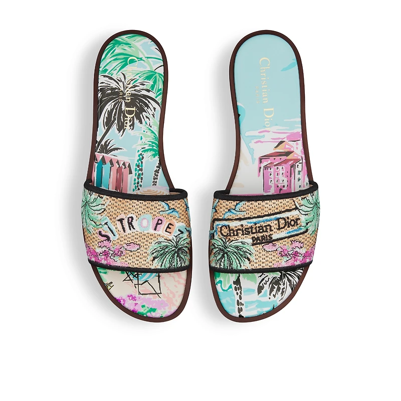 Dior Souvenir Dway Slide