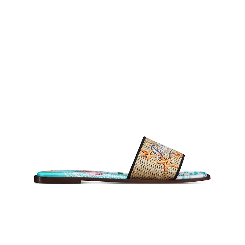 Dior Souvenir Dway Slide