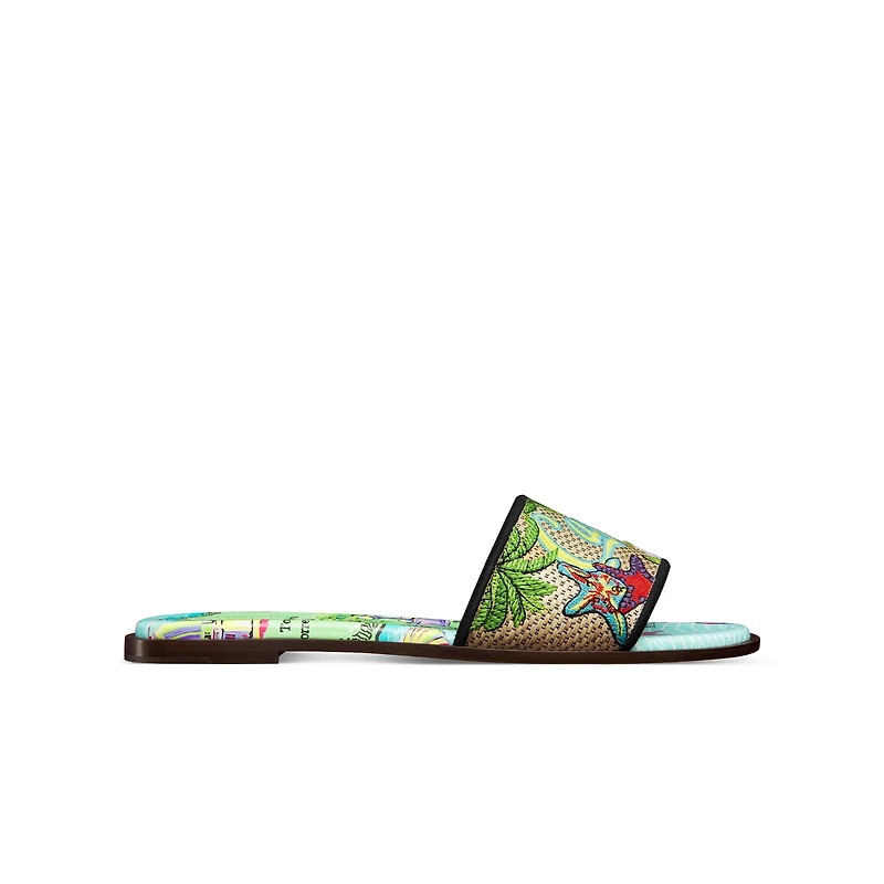 Dior Souvenir Dway Slide