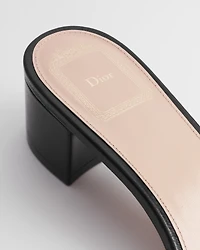 Dior Médaillon Buckle Heeled Slide