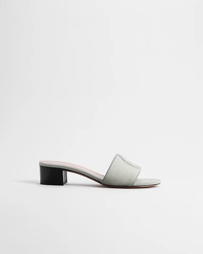 Dior Médaillon Heeled Slide