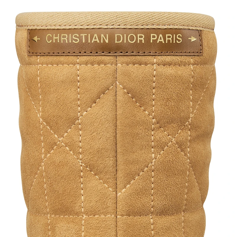 Dior Frost Ankle Boot