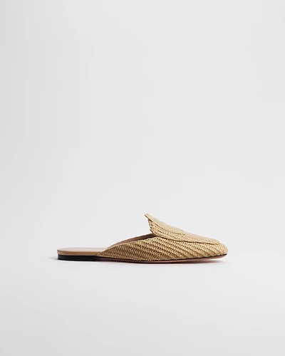 Dior Médaillon Mule