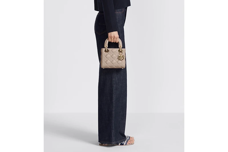 Mini Lady Dior Bag