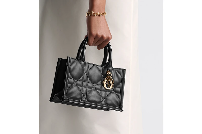 Mini Dior Book Tote