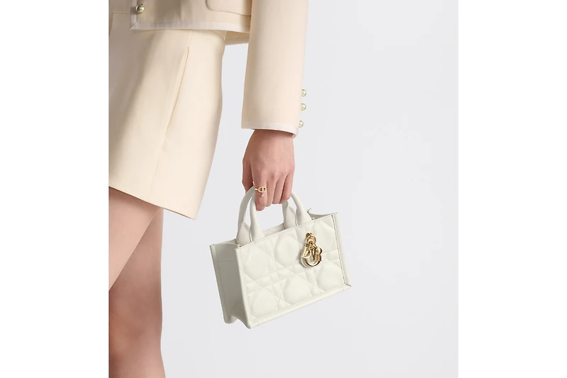 Mini Dior Book Tote