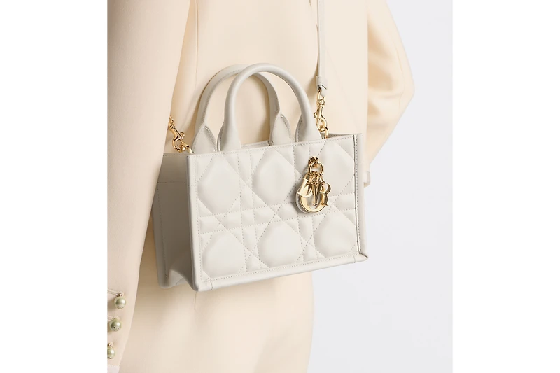 Mini Dior Book Tote