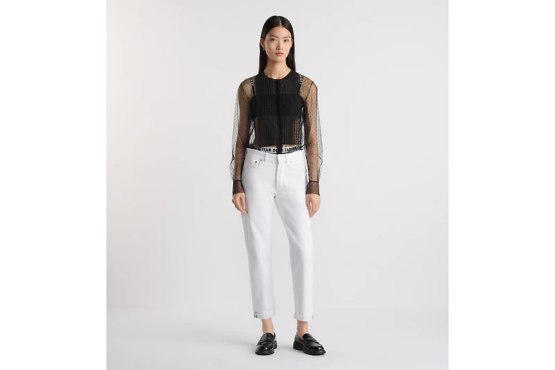 Sheer Blouse with Plastron