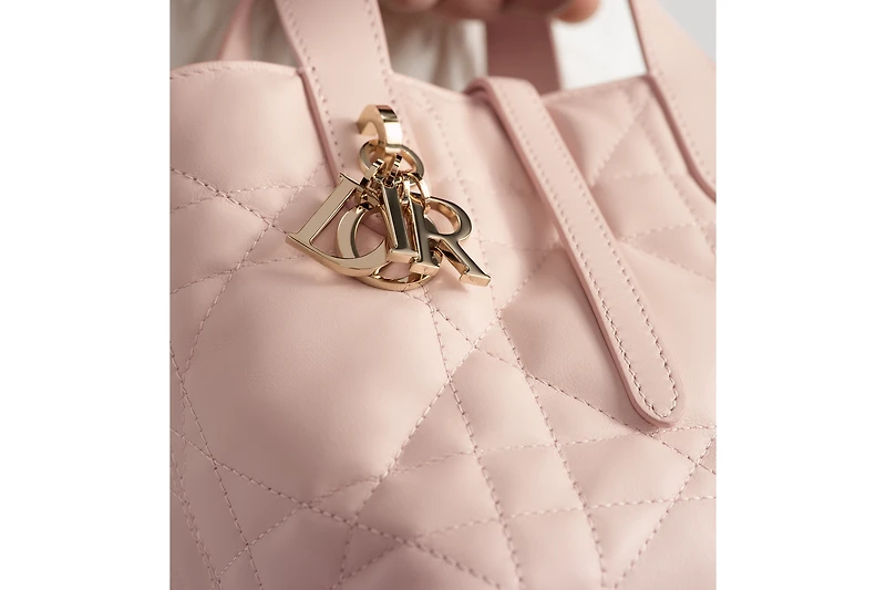 Dior Toujours Vertical Nano Tote Bag
