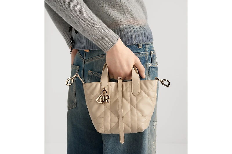 Dior Toujours Vertical Nano Tote Bag