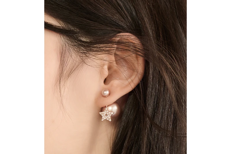 Dior Tribales Earrings
