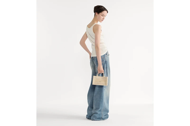 Mini Dior Book Tote