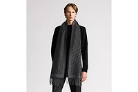 Dior Oblique Scarf