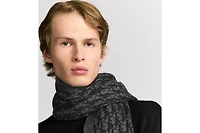 Dior Oblique Scarf