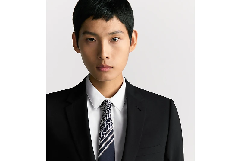 Striped Dior Oblique Tie