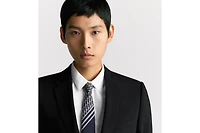Striped Dior Oblique Tie