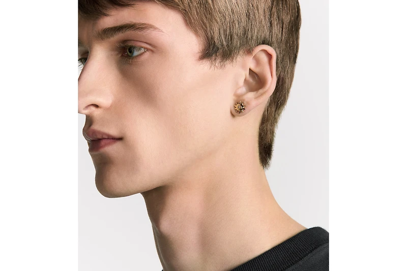 DIOR AND LEWIS HAMILTON earrings