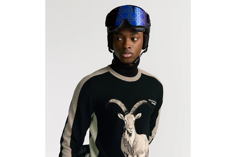 DIOR AND POC Ski Goggles - Short Fit