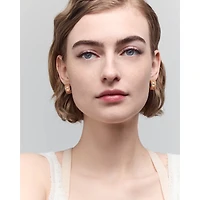 My Dior Earrings